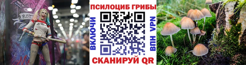 Галлюциногенные грибы Psilocybe  наркота  блэк спрут ССЫЛКА  Харовск 